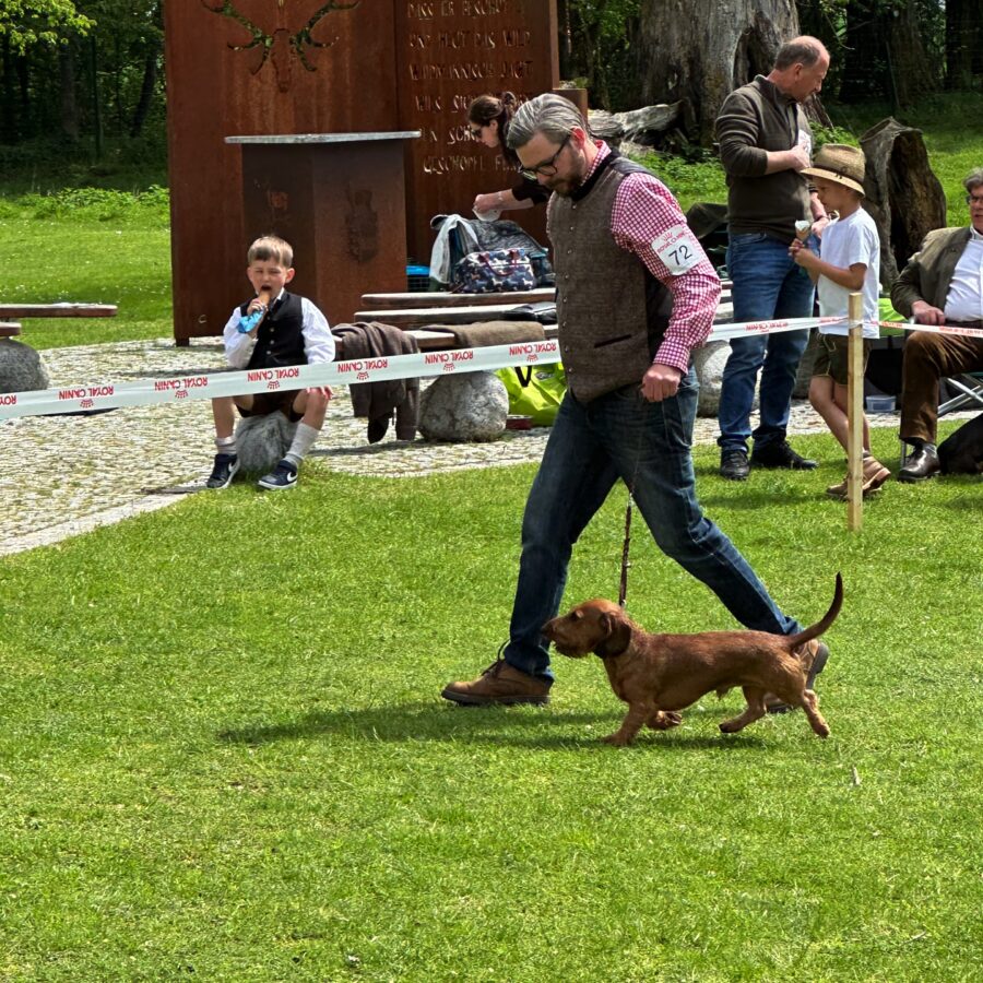 IMG_0950