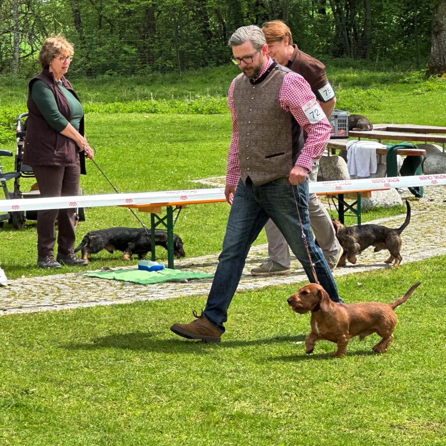 IMG_0951